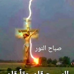 Meet your Posher, Lina